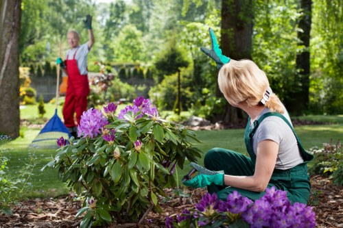 Gardeners Tufnell Park team arriving at a garden with equipment