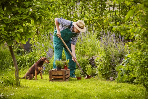 Volunteer gardener arranging plants beside information board