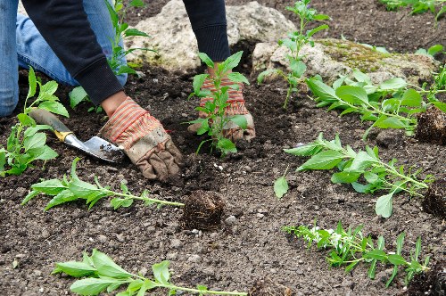 Gardening team preparing equipment on-site