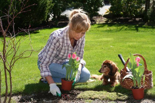 Person using a screen reader and mobile device while at a garden event