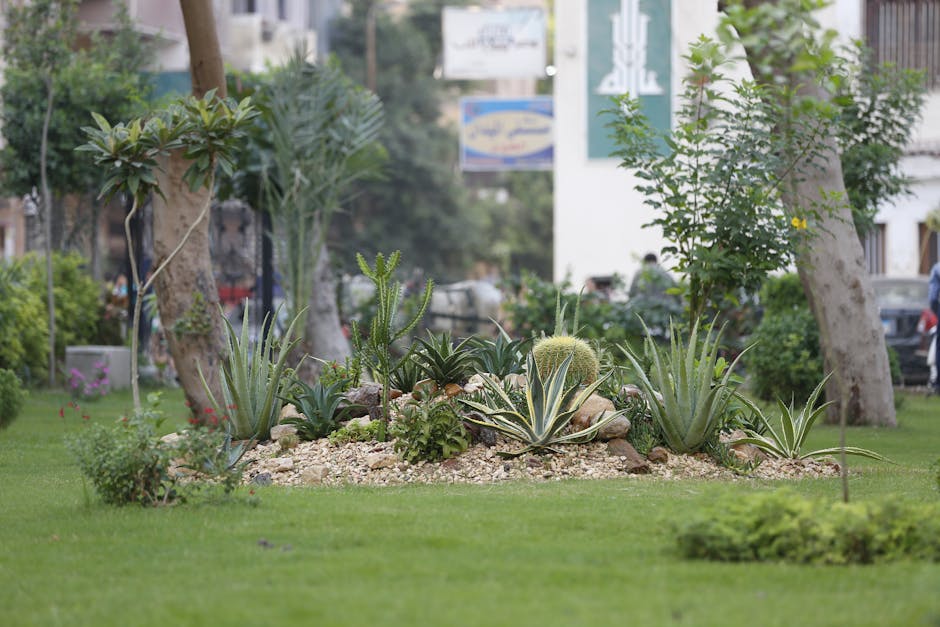 A small garden featuring a neatly maintained lawn with trimmed grass and a bordered garden bed filled with a variety of plants, including leafy shrubs and flowering perennials. The layout includes a s